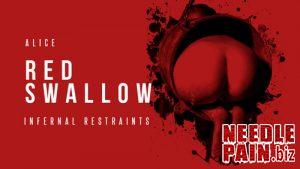 Red Swallow Part 2 – Alice – Mar 1, 2019 Infernalrestraints